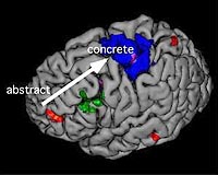 Evidence Appears To Show How And Where Frontal Lobe Works
