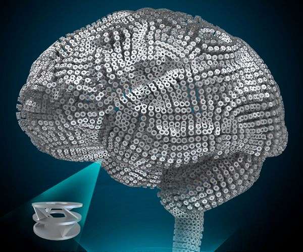 A visual pathway in the brain may do more than recognize objects