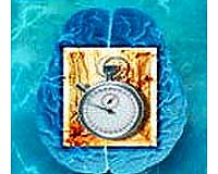 Researchers Publish First Working Model That Explains How Biological Clocks Work