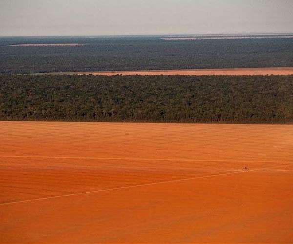 Brazil to unveil plan to increase farmland by 60%