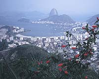 Super-bacteria found in Rio bay ahead of 2016 Olympic sailing