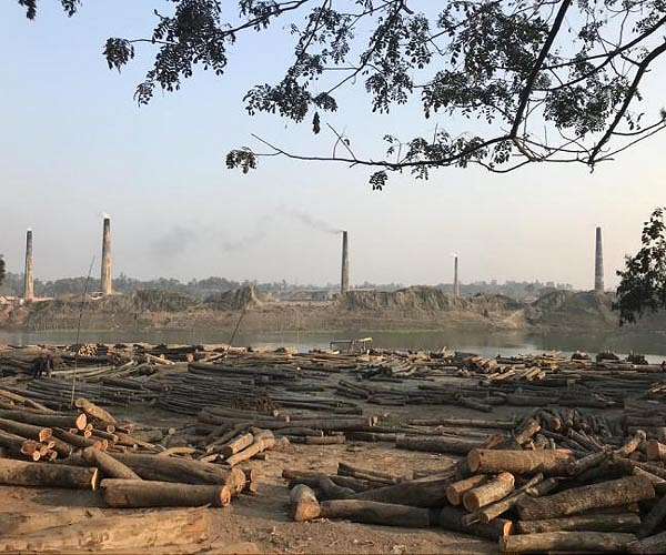 Habitat loss stokes rabid jackal attacks in Bangladesh