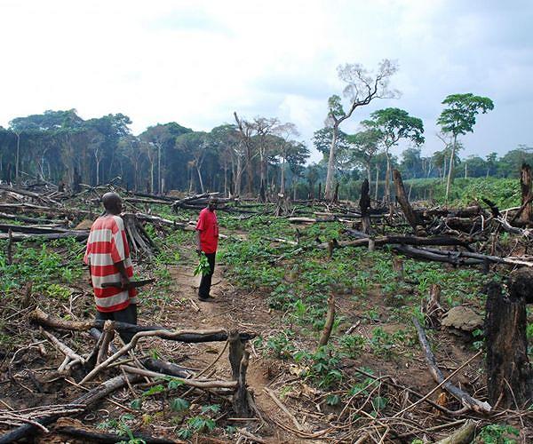 Two rangers killed in famed DR Congo wildlife reserve