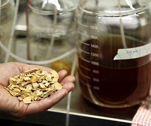 Burning biomass pellets instead of wood or plants in China could lower mercury emissions