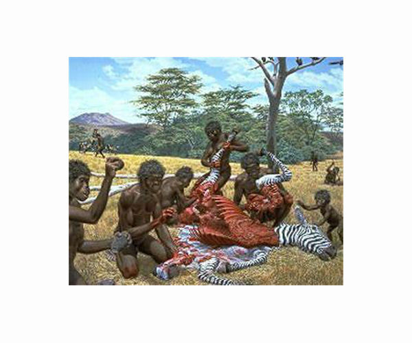 Past tropical forest changes drove megafauna and hominin extinctions