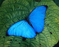Mathematicians Reveal Secrets Of The Ancient And Universal Art Of Symmetry