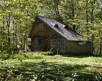 Northern Irish pensioner thrives in off grid cottage