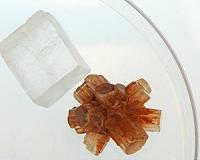 Mystery solved: Why seashells' mineral forms differently in seawater