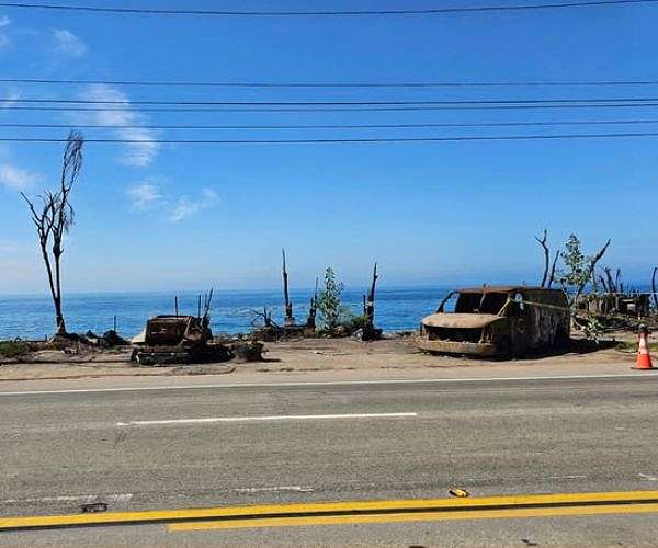 A year on, LA wildfire survivors struggle to rebuild