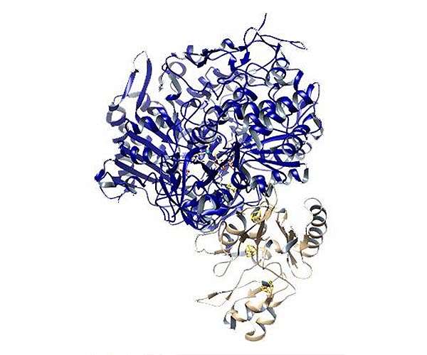 New, nature-inspired concepts for turning CO2 into clean fuels