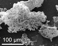 Carbon-trapping 'sponges' can cut greenhouse gases