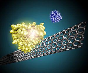 Carbon nanotubes can double growth of cell cultures important in industry