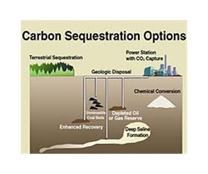 Carbon Cycle 2.0 Energy and Environmental Analysis Team Finds Effective Directions for Energy Research