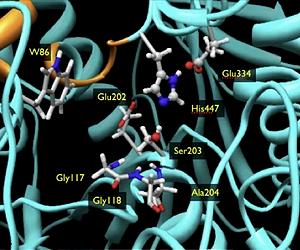 OSU Chemist Developing Solution To Nerve Agent Exposure