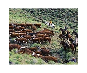 Argentina, China sign 'historic' farm trade deals