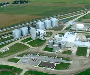 Cellulosic Biomass The Challenge For Biofuels