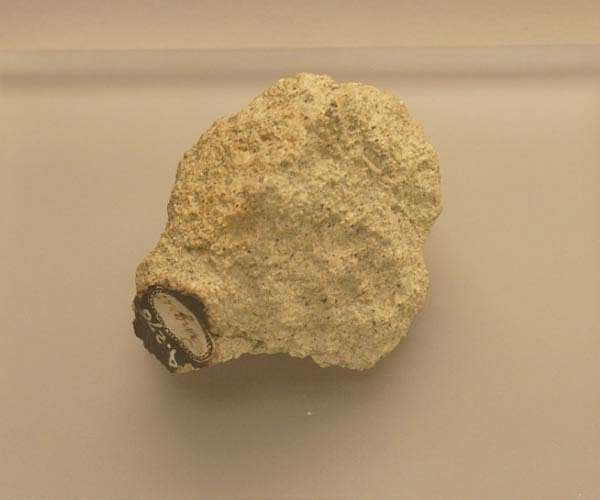 Martian meteorite upsets planet formation theory