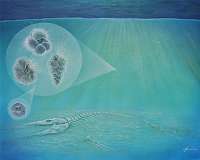 Life recovered rapidly at impact site of dino-killing asteroid