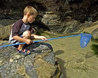Aeris Communications And GPSPursuit Enable Unique Tracking Solutions