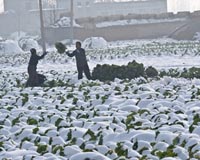 'Empire of the Sun' internment camp forgotten in China