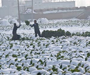 China to boost rural representation in parliament