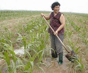 New way of monitoring environmental impact could help save rural communities in China