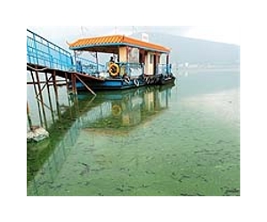 China environment worsening, could miss energy goals