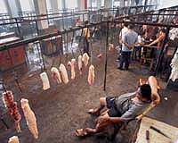 Update Presented On Disease In Pork Plant Workers
