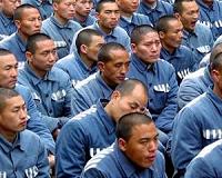 China sentences activists for 'disturbing social order'