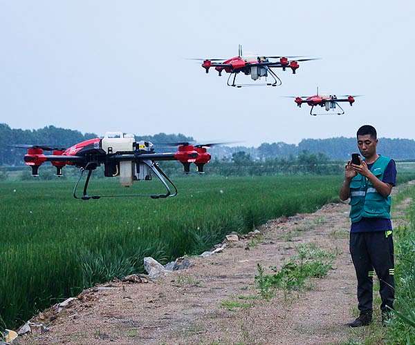 From drones to sensors, Malaysian durian grower goes high-tech