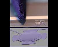 Quantum reservoir for microwaves