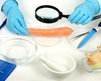 Eco-friendly food packaging material doubles shelf-life of food products
