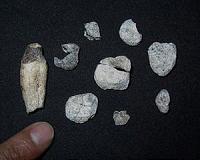 Fossil analysis pushes back human split from other primates by 2 million years
