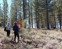 Meadow restoration studied for potential to build carbon credits in California