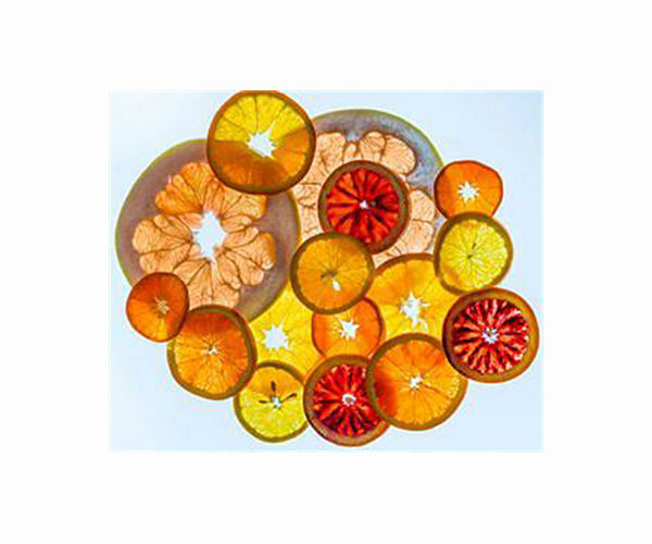 Colombia's 'Lord of the Fruit' fighting for native species