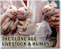 WHO says creating panel to study gene editing