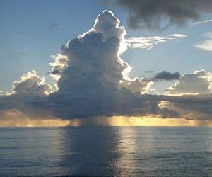 Swimming robot crosses Pacific Ocean