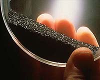 Report: Clean coal more costly