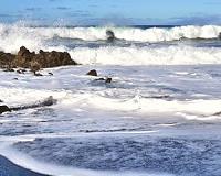 Bacteria plays key role in long term storage of carbon in the ocean