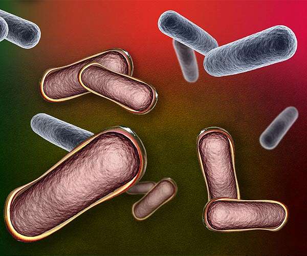 A step toward living biotherapeutics