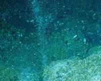 Ocean currents disturb methane-eating bacteria