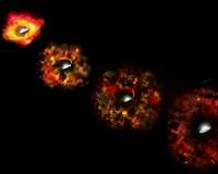 Collapsing Star Gives Birth to a Black Hole
