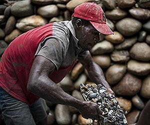 Colombia's tinted gold passes for precious stones