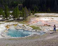 Surprising New Species Of Light-Harvesting Bacterium Discovered In Yellowstone