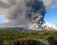 Controlled burns encourage invasive grass