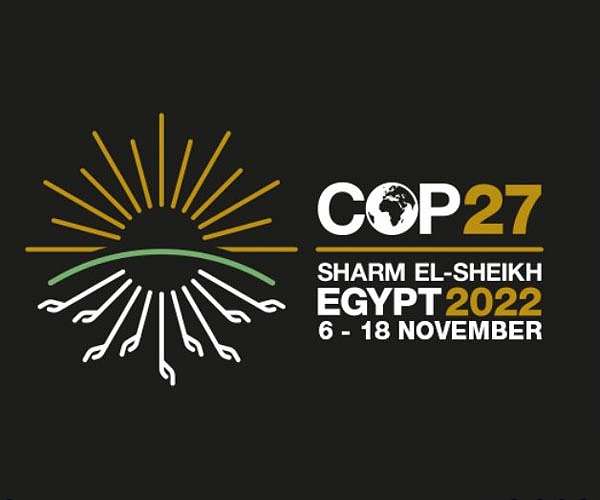 DR Congo, Brazil, Indonesia to present common front at climate talks