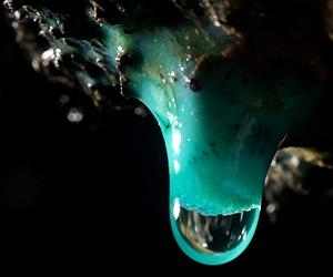 New evidence for the oldest oxygen-breathing life on land