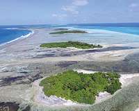 'Super corals' give glimmer of hope for world's dying reefs