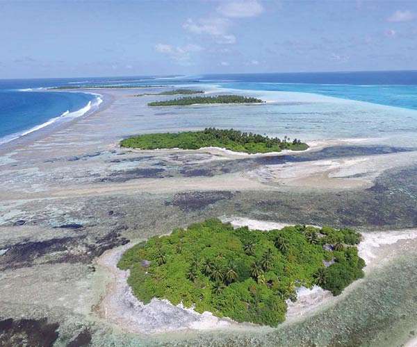 World's coral reefs crossing survival limit: global experts