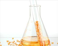 Keystone Symposia To Hold First Conference On 'The Future Of Biofuels'